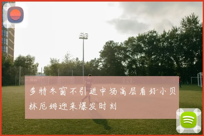 多特冬窗不引进中场高层看好小贝林厄姆迎来爆发时刻