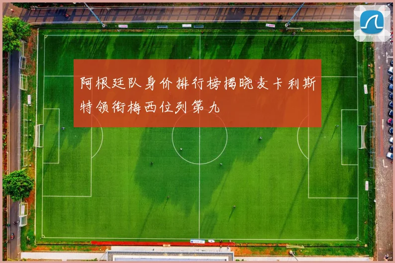 阿根廷队身价排行榜揭晓麦卡利斯特领衔梅西位列第九