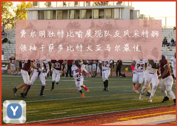 费尔明独特比喻展现队友风采特狮领袖卡萨多比特犬亚马尔最佳