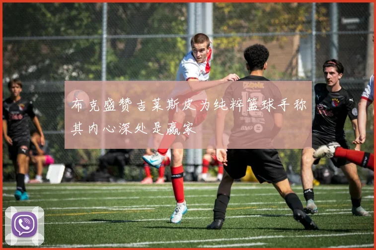 布克盛赞吉莱斯皮为纯粹篮球手称其内心深处是赢家