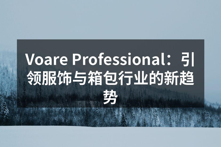 Voare Professional 研讨会现场