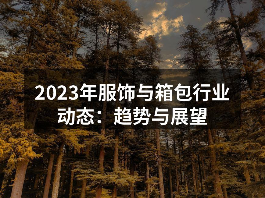 2023年服饰与箱包行业动态：趋势与展望